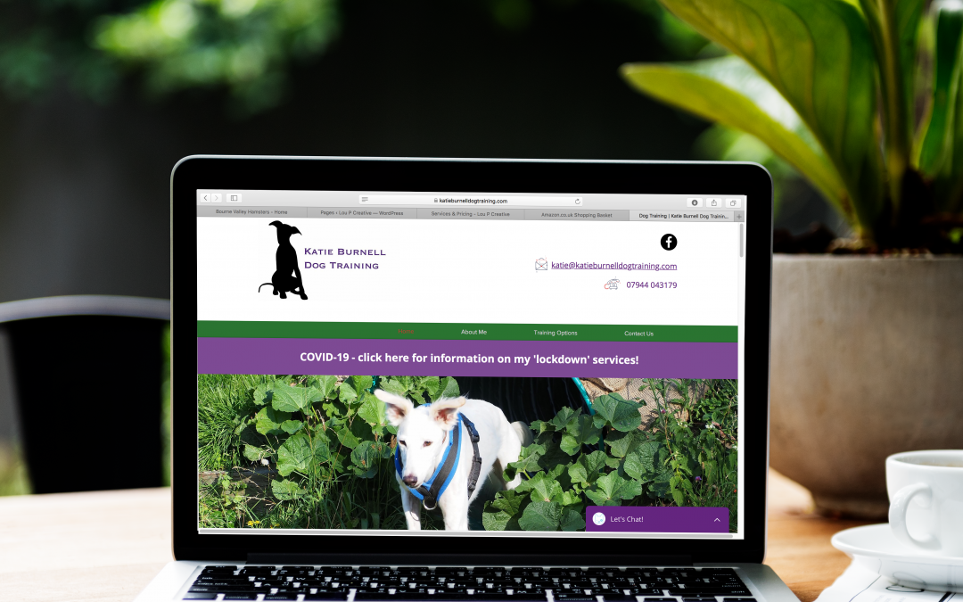 Katie Burnell Dog Training – July 2020